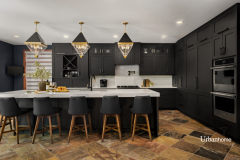 Modern kitchen with dark cabinetry