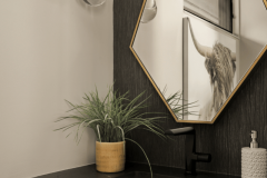 Website Portfolio images - Lounge Powder Room