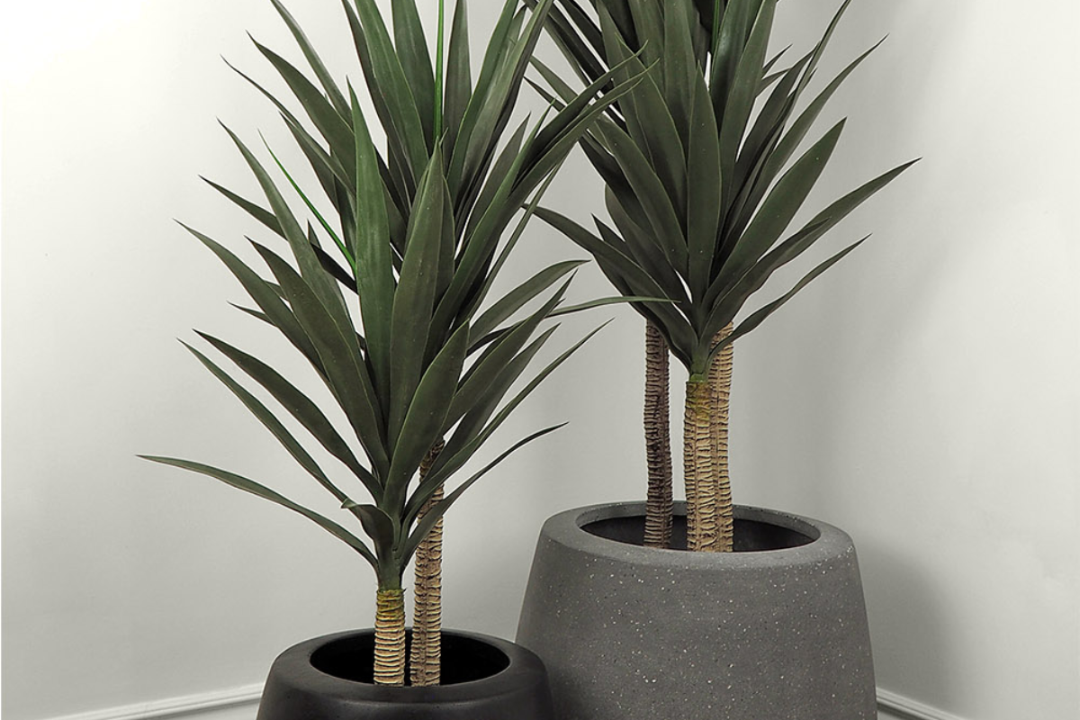 Close-up of faux yucca trees in matte black and stone grey planters, showcasing realistic foliage and sculptural design.