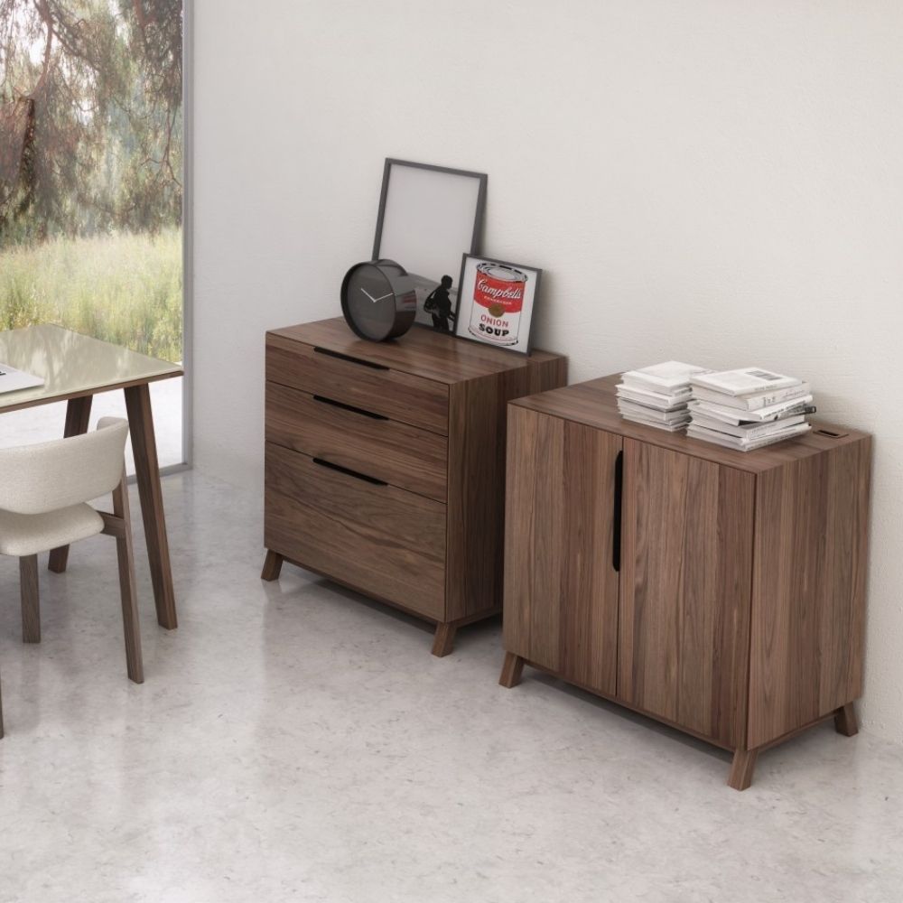 Contemporary walnut cabinet with two vertical doors and minimalist silhouette.