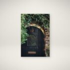 Photograph of a rustic black arched door with the number 17, framed by ivy and aged brick.