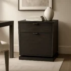 Modern dark wood filing cabinet with two drawers and brushed metal handles.