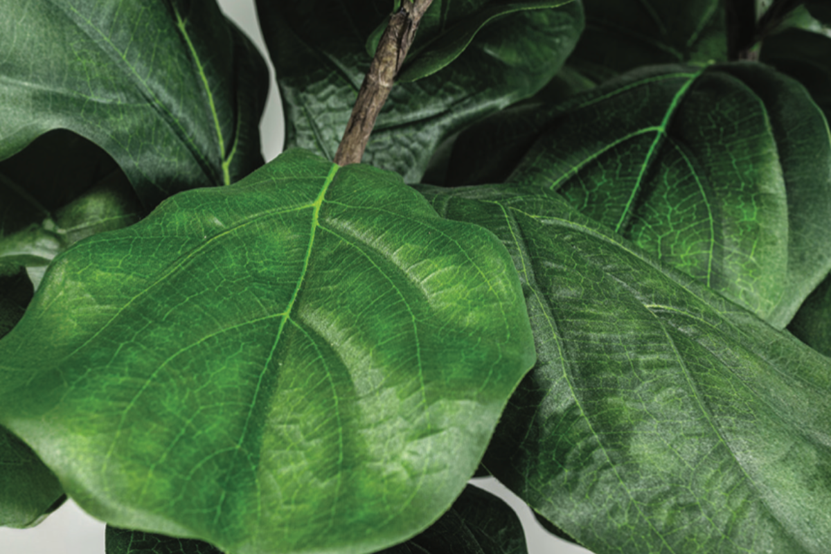 No Watering Required: Why Faux Plants Are the Secret to Effortless Styling