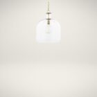 Clear glass dome pendant light with brass accents and exposed bulb.