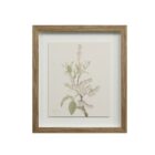 A set of nine framed botanical prints featuring delicate floral illustrations in muted tones, each with a natural wood frame arranged in a grid layout.