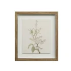A set of nine framed botanical prints featuring delicate floral illustrations in muted tones, each with a natural wood frame arranged in a grid layout.