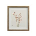 A set of nine framed botanical prints featuring delicate floral illustrations in muted tones, each with a natural wood frame arranged in a grid layout.