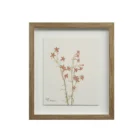 A set of nine framed botanical prints featuring delicate floral illustrations in muted tones, each with a natural wood frame arranged in a grid layout.