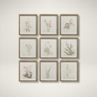 A set of nine framed botanical prints featuring delicate floral illustrations in muted tones, each with a natural wood frame arranged in a grid layout.