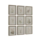 A set of nine framed botanical prints featuring delicate floral illustrations in muted tones, each with a natural wood frame arranged in a grid layout.