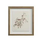 A set of nine framed botanical prints featuring delicate floral illustrations in muted tones, each with a natural wood frame arranged in a grid layout.