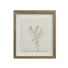 A set of nine framed botanical prints featuring delicate floral illustrations in muted tones, each with a natural wood frame arranged in a grid layout.
