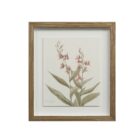 A set of nine framed botanical prints featuring delicate floral illustrations in muted tones, each with a natural wood frame arranged in a grid layout.