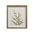 A set of nine framed botanical prints featuring delicate floral illustrations in muted tones, each with a natural wood frame arranged in a grid layout.