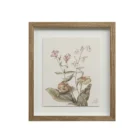 A set of nine framed botanical prints featuring delicate floral illustrations in muted tones, each with a natural wood frame arranged in a grid layout.