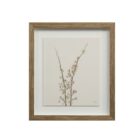 A set of nine framed botanical prints featuring delicate floral illustrations in muted tones, each with a natural wood frame arranged in a grid layout.