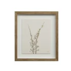 A set of nine framed botanical prints featuring delicate floral illustrations in muted tones, each with a natural wood frame arranged in a grid layout.