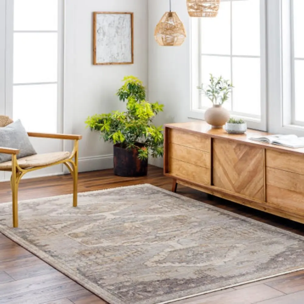 Traditional-inspired rug in muted shades of taupe, grey, and gold with a distressed medallion pattern.