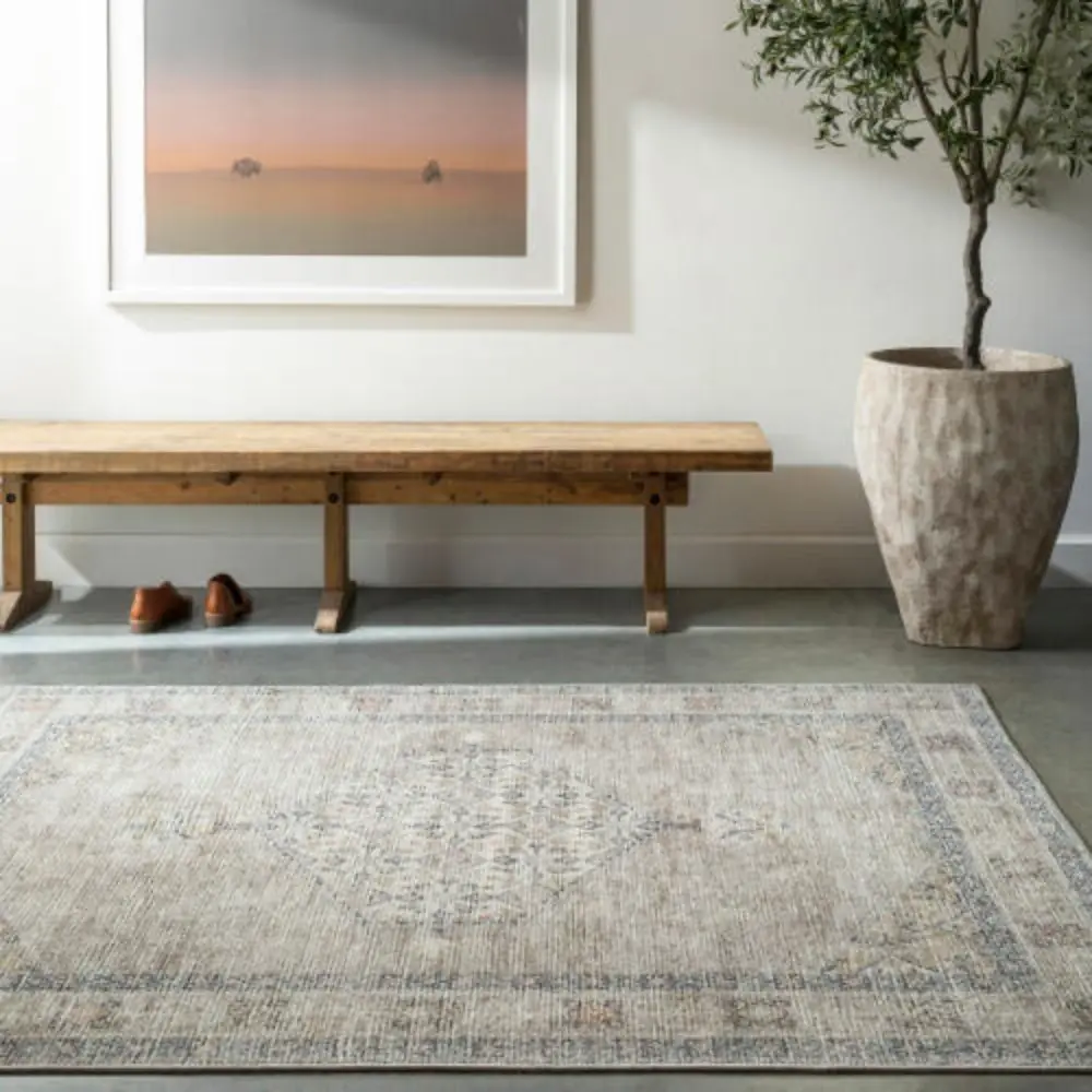 Faded traditional rug in beige, cream, and grey with a central medallion and distressed border.
