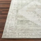 Vintage-inspired woven rug with a faded diamond medallion in muted green, ivory, and blush tones.