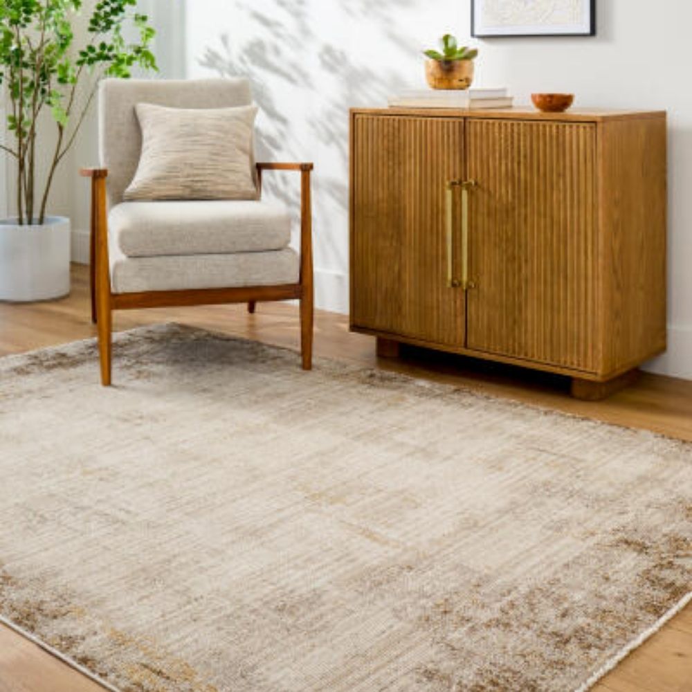 Beige and taupe distressed rug with a soft faded border design and subtle vintage-inspired texture.