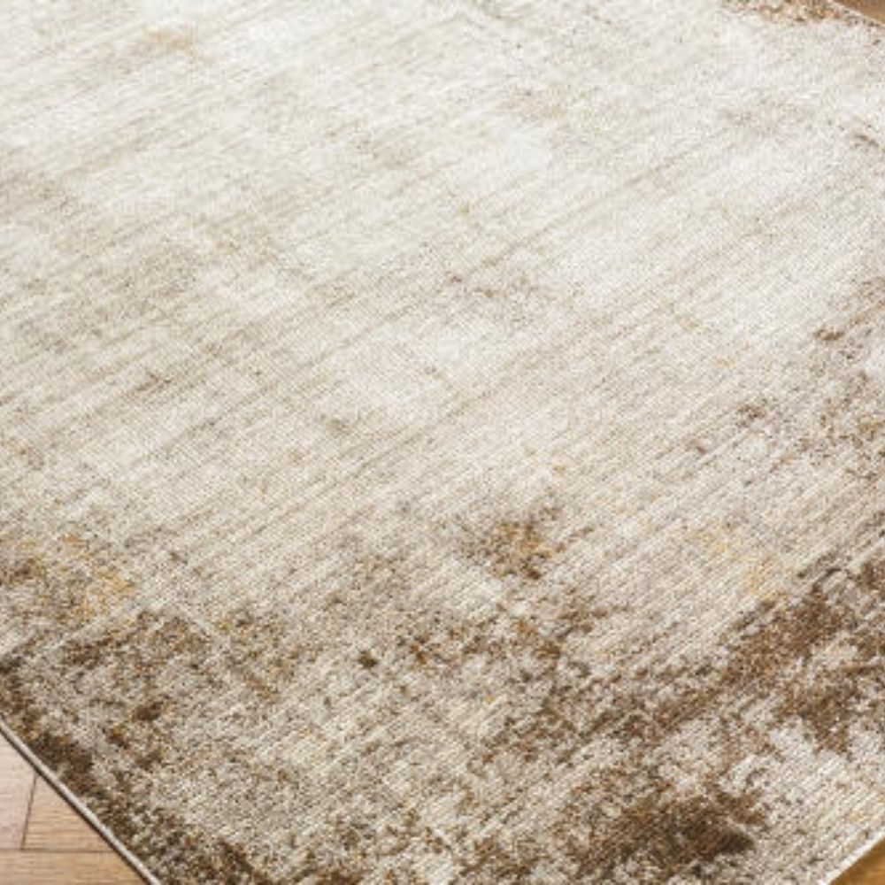 Beige and taupe distressed rug with a soft faded border design and subtle vintage-inspired texture.