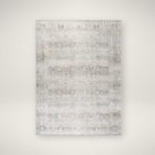 Traditional patterned area rug in soft neutral tones of beige, ivory, and grey.