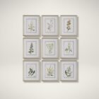 Set of nine framed botanical prints featuring colorful floral illustrations with green leaves and stems on white backgrounds, each in a light wood frame.