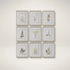 Set of nine framed botanical prints featuring colorful floral illustrations with green leaves and stems on white backgrounds, each in a light wood frame.