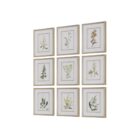 Set of nine framed botanical prints featuring colorful floral illustrations with green leaves and stems on white backgrounds, each in a light wood frame.