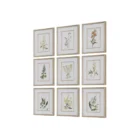 Set of nine framed botanical prints featuring colorful floral illustrations with green leaves and stems on white backgrounds, each in a light wood frame.