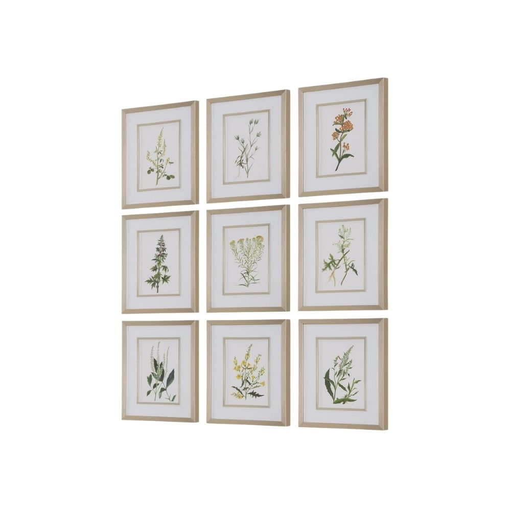 Set of nine framed botanical prints featuring colorful floral illustrations with green leaves and stems on white backgrounds, each in a light wood frame.