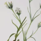 Set of nine framed botanical prints featuring colorful floral illustrations with green leaves and stems on white backgrounds, each in a light wood frame.