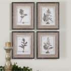 Set of four framed botanical study prints in grayscale with distressed wood frames and linen-like mats.