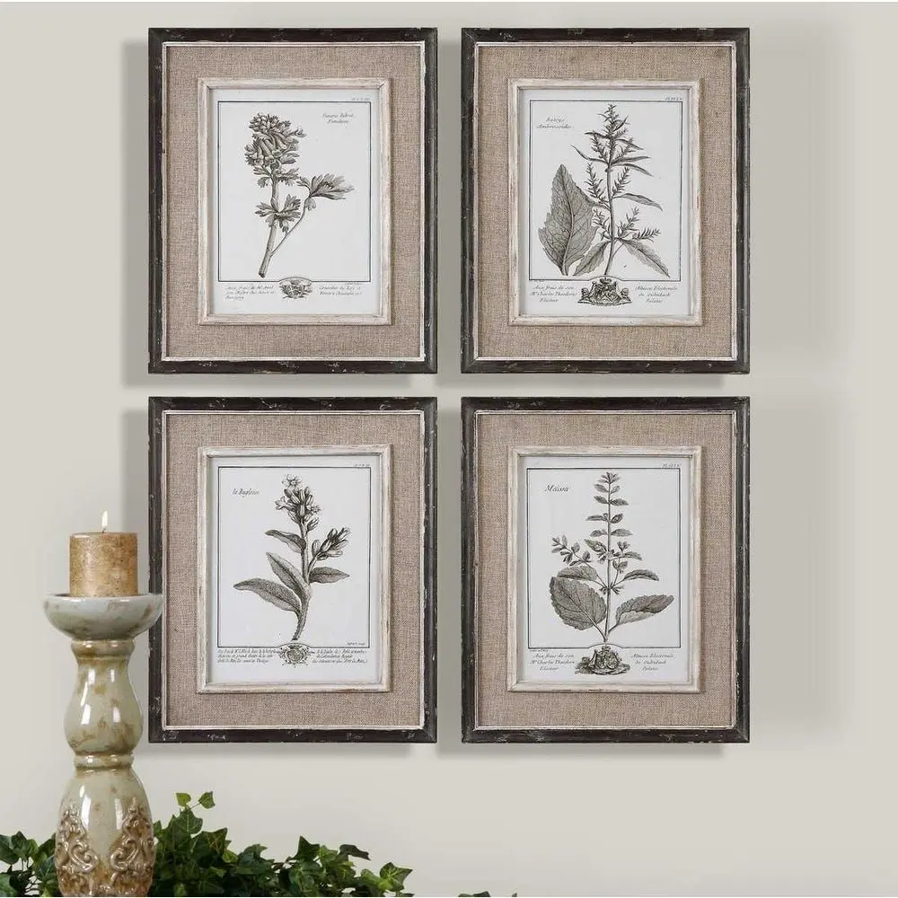 Set of four framed botanical study prints in grayscale with distressed wood frames and linen-like mats.