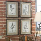 Set of four framed botanical study prints in grayscale with distressed wood frames and linen-like mats.
