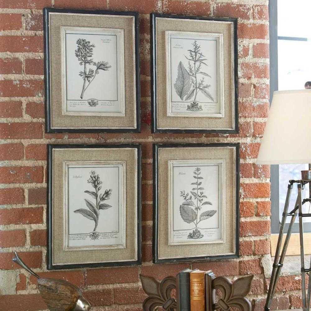 Set of four framed botanical study prints in grayscale with distressed wood frames and linen-like mats.
