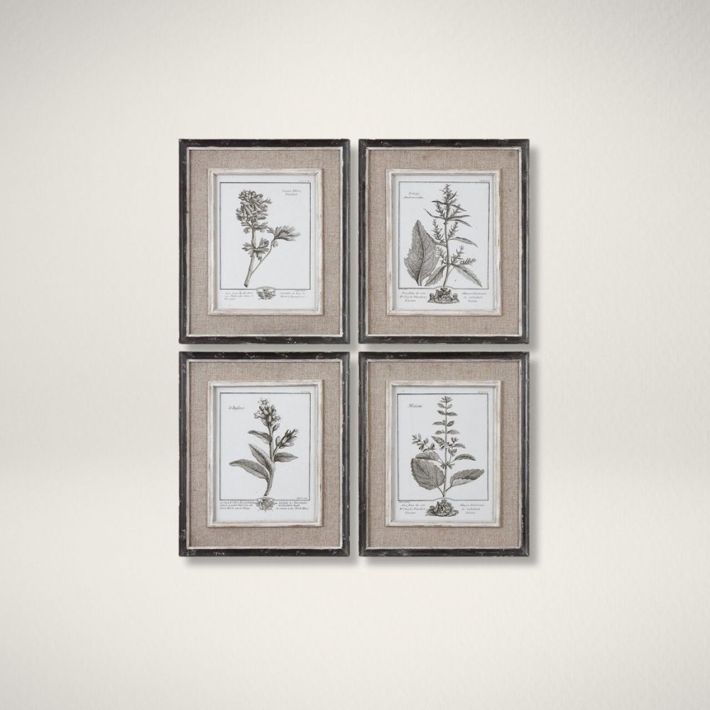 Uttermost Casual Grey Study Wall Art โ Set of 4 Set of four framed botanical study prints in grayscale with distressed wood frames and linen-like mats.
