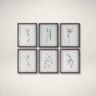 Set of six framed botanical prints featuring delicate illustrations of grasses and plants in green tones on white backgrounds with dark frames.