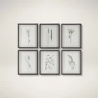 Set of six framed botanical prints featuring delicate illustrations of grasses and plants in green tones on white backgrounds with dark frames.