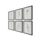 Set of six framed botanical prints featuring delicate illustrations of grasses and plants in green tones on white backgrounds with dark frames.