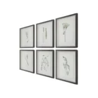 Set of six framed botanical prints featuring delicate illustrations of grasses and plants in green tones on white backgrounds with dark frames.