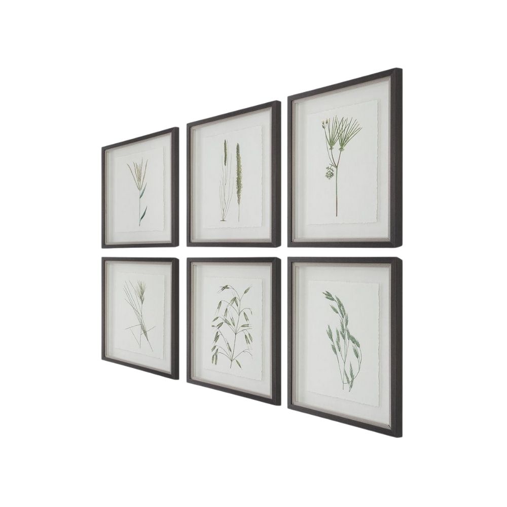 Set of six framed botanical prints featuring delicate illustrations of grasses and plants in green tones on white backgrounds with dark frames.