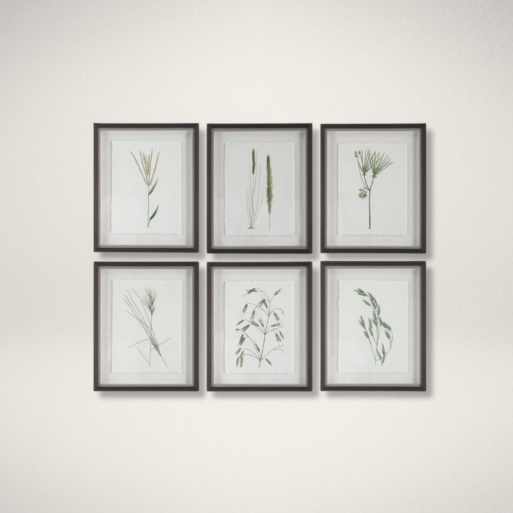 Uttermost Forest Finds Botanical Wall Art – Set of 6 Set of six framed botanical prints featuring delicate illustrations of grasses and plants in green tones on white backgrounds with dark frames.