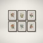 Set of six framed botanical orchid prints in soft, natural colors with dark wood frames and white mats.