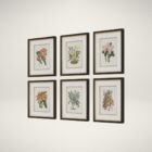 Set of six framed botanical orchid prints in soft, natural colors with dark wood frames and white mats.