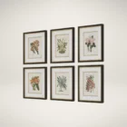 Set of six framed botanical orchid prints in soft, natural colors with dark wood frames and white mats.