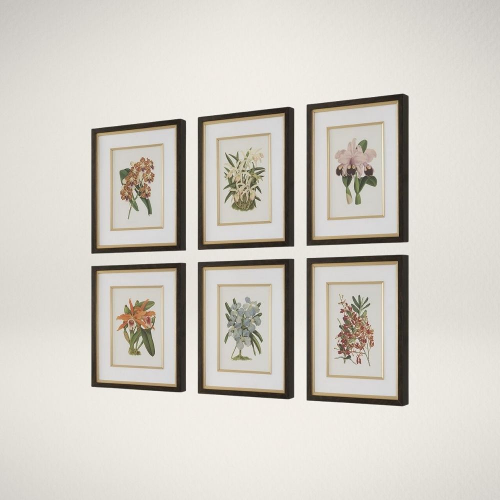 Set of six framed botanical orchid prints in soft, natural colors with dark wood frames and white mats.