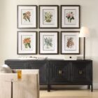 Set of six framed botanical orchid prints in soft, natural colors with dark wood frames and white mats.
