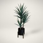 Artificial yucca plant in a matte black pot with wooden stand.
